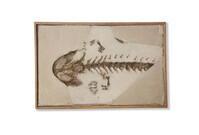 F 08437
<br/>
<br/>
<em></em>